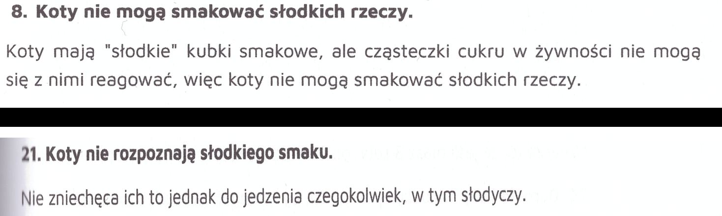 Słodycze Słodycze