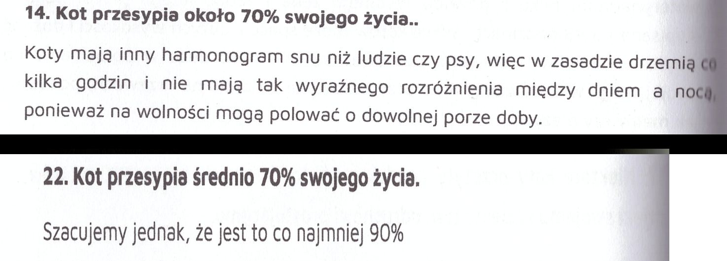 Koci sen Koci sen